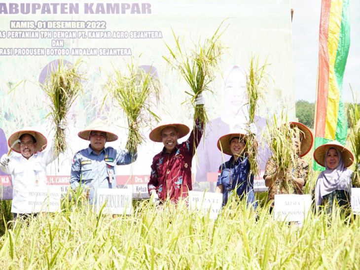 Sukses Panen Perdana Padi Teknologi IPAT-BO, Pj Bupati Kampar :  Moment Kebangkitan, Kemandirian dan Ketahanan Pangan Kampar. 