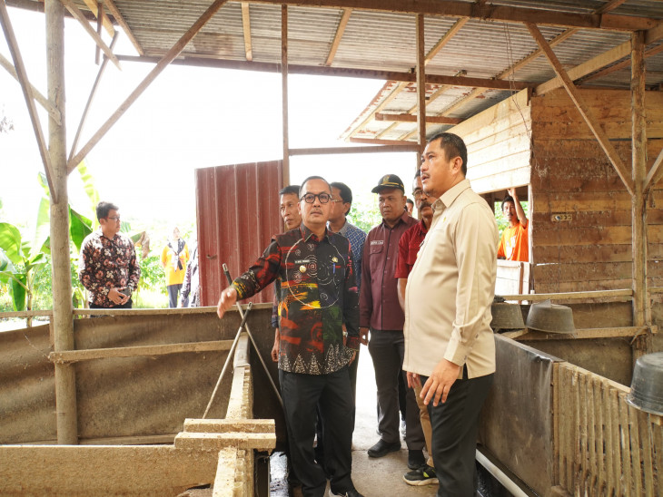 Tertarik Dengan Peternakan di Kampar, Pj Bupati Kampar Muhammad Firdaus SE.MM Terima Kunjungan Pemkab Bungo Jambi. 
