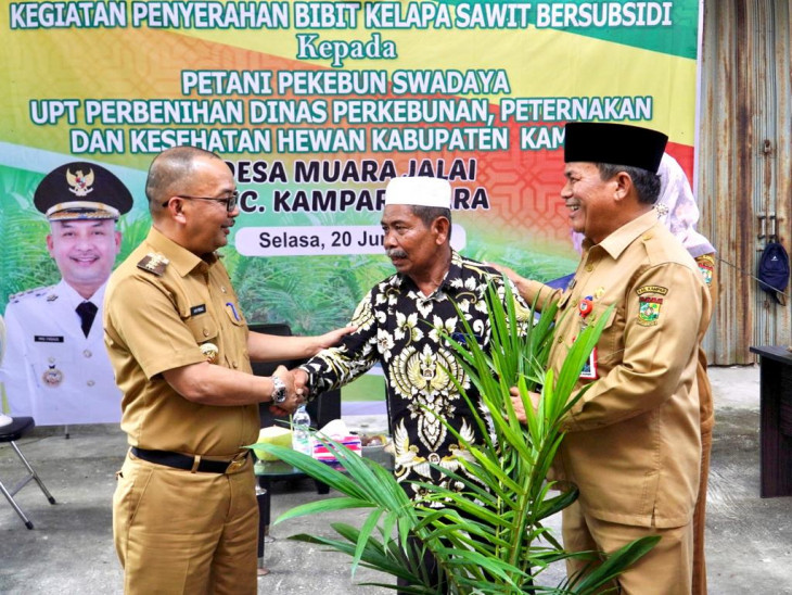 Serahkan Bibit Unggul Kelapa Sawit, Pj Bupati Kampar Berharap Dapat Membantu Perekonomian Masyarakat. 