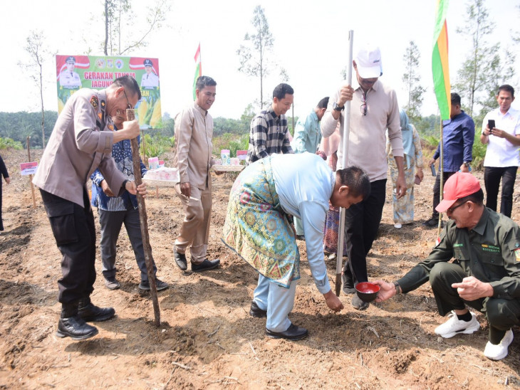 Dukung Ketahanan Pangan, Bupati Kampar Ahmad Yuzar S.Sos, MT, Lakukan Penanaman Jagung Pipil. 