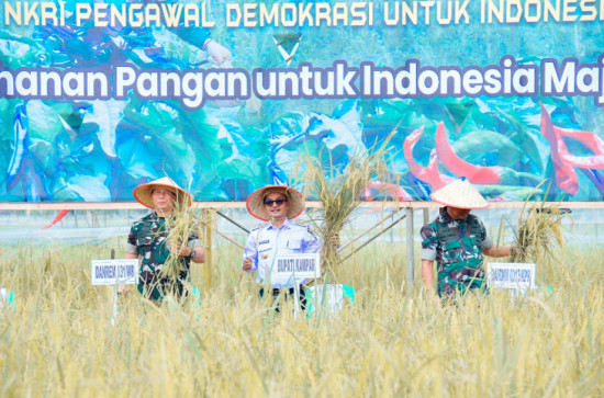 Kick Off Gerakan Nasional Ketahanan Pangan, Pj Bupati Kampar Bersama Komandan Korem 031/Wira Bima Melakukan Panen Padi Bersama.