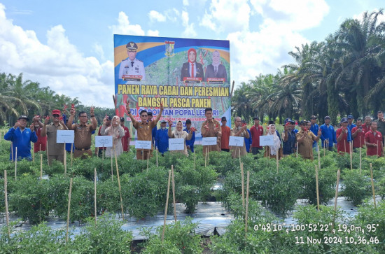 Wakili Pj Bupati Kampar, Kadis Pertanian Kampar Nurilahi Ali Lakukan Panen Raya Cabai Sekaligus Resmikan Bangsal Paska Panen