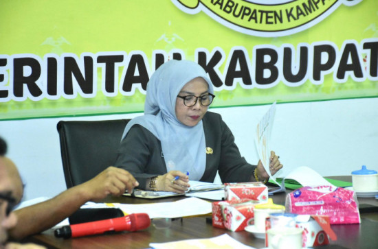 Inflasi Dipengaruhi Oleh Minyak Goreng, Wabup Misharti ; Kedepan Kita Uapayakan Adanya Sabuah Pabrik Minyak Goreng di Kabupaten Kampar. 