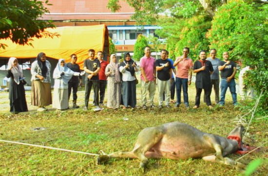 Rayakan Idul Adha 1446 H, Kepala BPKSDM Kab  Kampar Sembelih 1 Ekor Kerbau.