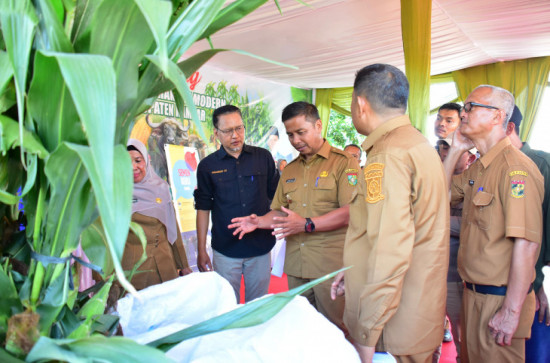 Launching program Peternakan Rakyat Modern, Bupati Kampar H. Ahmad Yuzar Komitmen Program Strategis Ini Akan Menjadi Ekonomi berbasis Pertanian dan Peternakan yang Berdaya Saing.