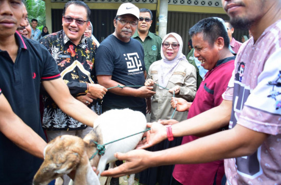 Pemkab Kampar Salurkan 105 Ekor Kambing kepada Kelompok Usaha Bersama Desa Teratak dan Pulau Payung 