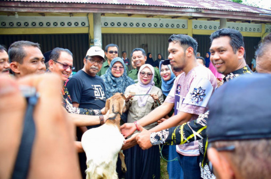 Berikan Bantuan UEP Kepada 2 KUBE, Wakil Bupati Kampar Dr.Hj, Misharti Serahkan 105 Ekor Kambing Kepada Kelompok Usaha Masyarakat.