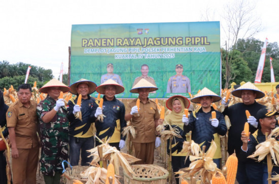 Dukung Asta Cita Presiden Prabowo, Bupati Kampar Panen Jagung di Perhentian Raja