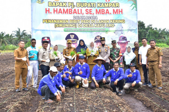 Dukung Ketahanan Pangan Nasional, Pj Bupati Kampar Hambali Tanam Padi Di Desa Kayu Aro Kampar Utara. 