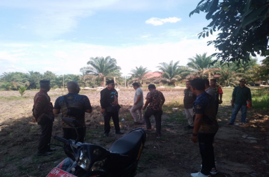 Dukung Program Ketahanan Pangan, Camat XIII Koto Kampar Tinjau Ketahanan Pangan di Desa Kototuo