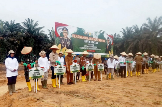 Pemkab Kampar Bersama Kapolda Riau Lakukam Program Penanaman jagung 1 Juta Hektar. 