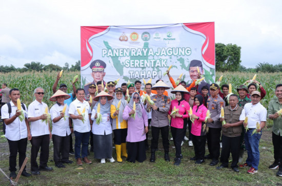 Kadis Pertanian Kampar Dampingi Wakapolres Kampar Pada Panen Raya Jagung Serentak di Tapung. 