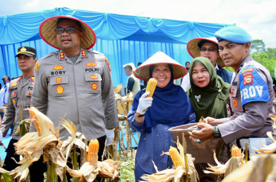 Bupati Kampar diwakili Kadis Pertanian Nur Ilahi Ali Laksanakan Panen Raya Jagung Pipil Kuartal I 2026, Komitmen untuk Wujudkan Swasembada Pangan