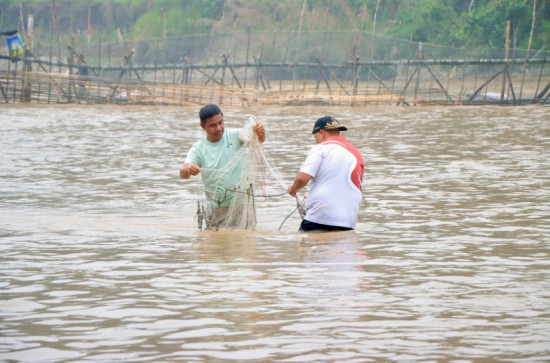 Ikan Antau Larangan , Bupati Ahmad Yuzar Dorong Tradisi Adat Siberuang Jadi Ikon Wisata Kampar