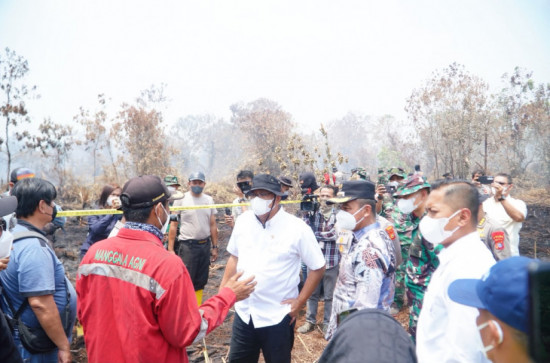 Bupati Kampar Bersama Menteri Lingkungan Hidup Tinjau Lokasi Karhutla di Kecamatan Tambang