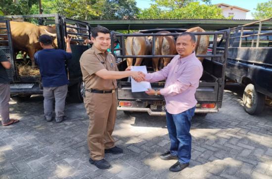 57 Hewan Qurban Serbu Islamic Center Bangkinang, Pemkab Kampar: Bukti Kepedulian dan Semangat Berbagi Masyarakat