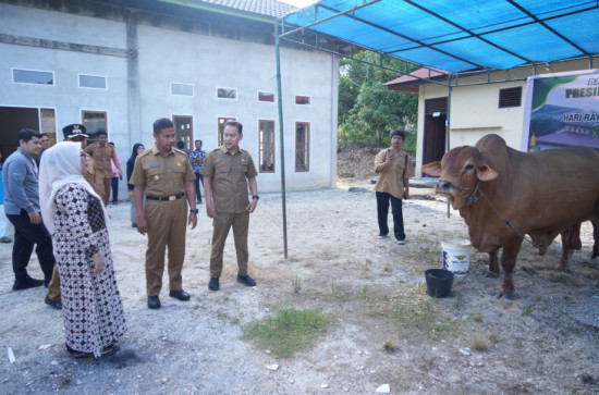 Bupati Kampar Serahkan Bantuan Qurban Sapi Presiden RI untuk Idul Adha 1447 H Di Masjid Al-Furqon Desa Bukit Melintang