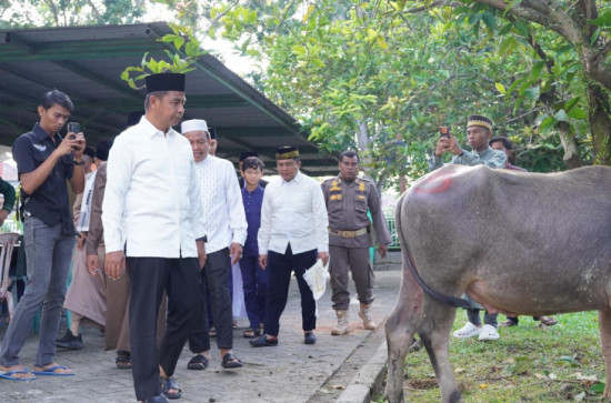 Usai Shalat Id, Bupati Kampar Tinjau Posko Kurban di Berbagai Titik.
