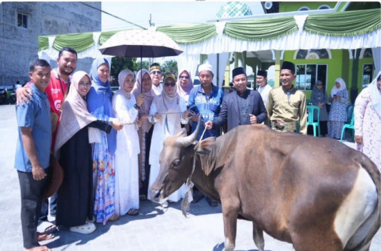 Wakil Bupati Kampar Tinjau Pemotongan Hewan Qurban di Sejumlah Lokasi