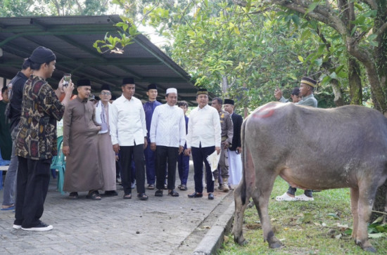 Mengagetkan! Islamic Center Bangkinang Masuk 4 Besar Nasional Penyumbang Hewan Qurban Terbanyak